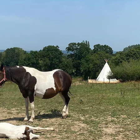 Tipi Au Domaine De L Atlas En Pleine Nature Роскошный шатер *